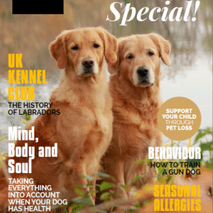 Summer Special of Who Adores Labradors and Retrievers Issue 1, Volume 1