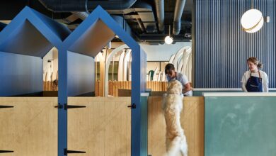 WagWorks: London’s First Dog-Centric Private Members Club