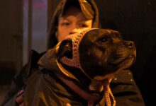 The charity met with Prime Minister Andy Burnham to discuss the homeless and their pets.