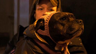 The charity met with Prime Minister Andy Burnham to discuss the homeless and their pets.