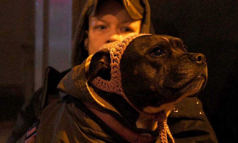 The charity met with Prime Minister Andy Burnham to discuss the homeless and their pets.
