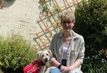 Doris the dog survived a 30mph car crash thanks to health professionals