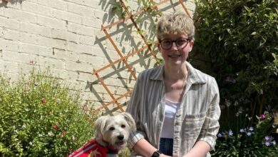 Doris the dog survived a 30mph car crash thanks to health professionals