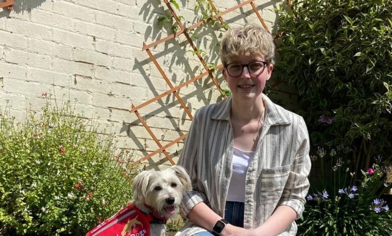 Doris the dog survived a 30mph car crash thanks to health professionals