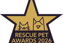 PLAY9 will support the awards programme and help raise awareness of rescue pet welfare and adoption